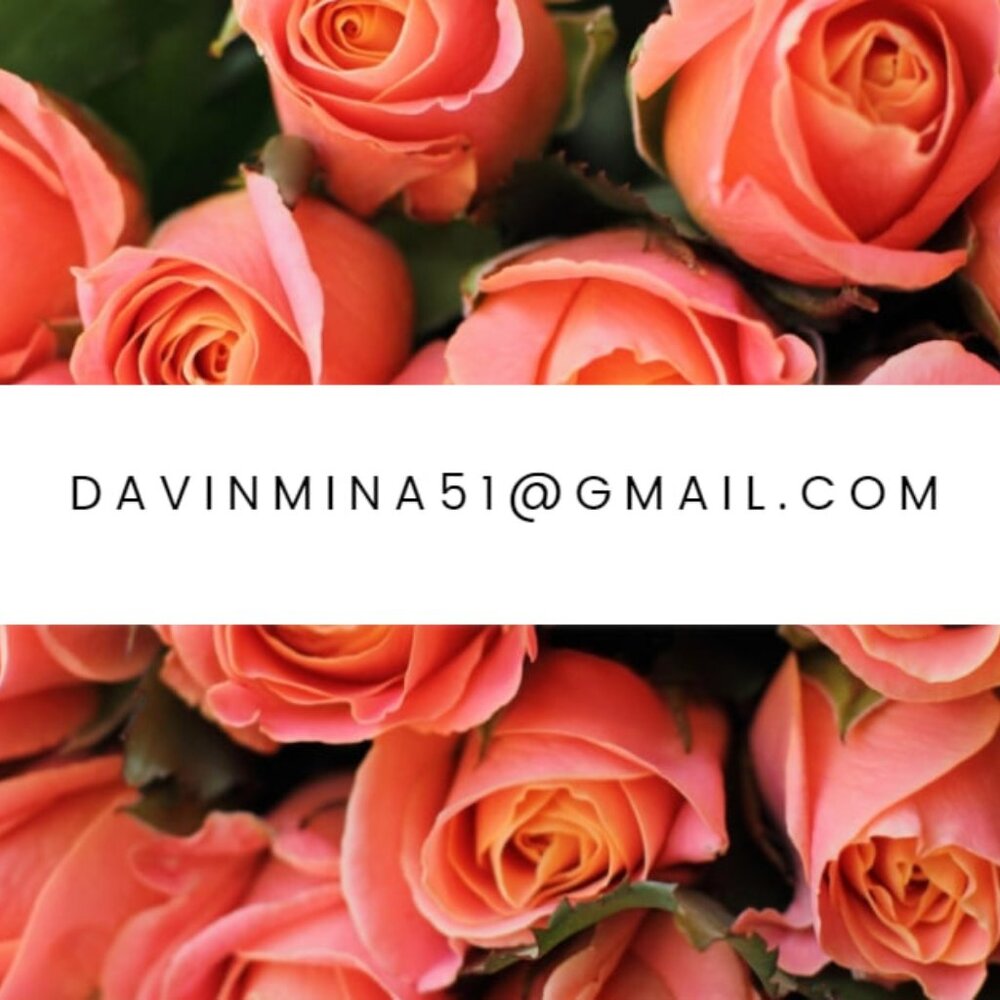 My contact information
